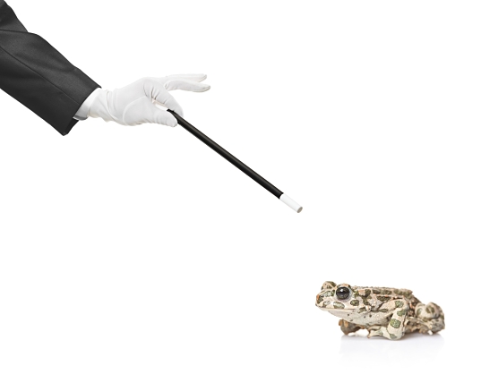 Magic wand transforming a frog